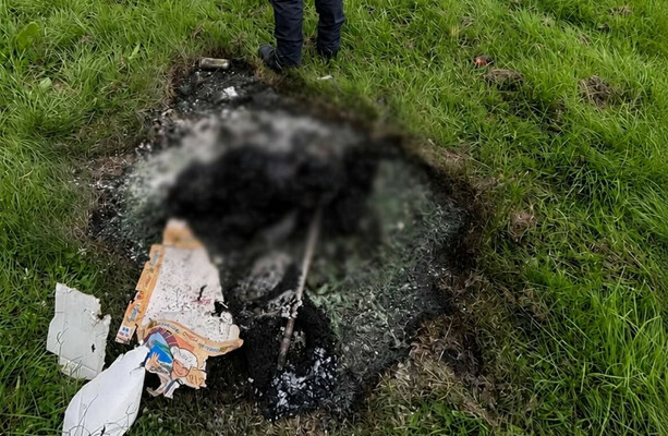 Gardaí and NSPCA investigate alleged burning of dog in Ballymun after remains discovered