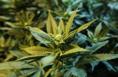 Britain's drug policies are not working, say MPs