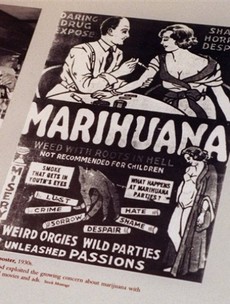 POT: A history of marijuana