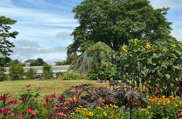 Pockets of nature every 200 metres promised in new national plan to save bees and butterflies