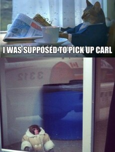 Is this what happened to the Ikea monkey (aka Carl?)