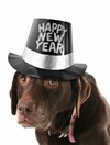 The burning question*: New Year's Eve - worth staying up for?