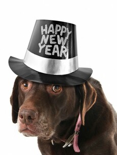 The burning question*: New Year's Eve - worth staying up for?