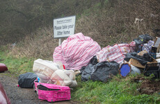 The bother with bins: Too much waste and too little control over how rubbish is collected