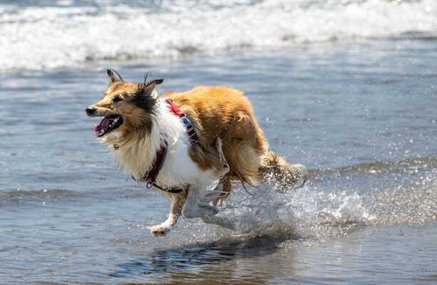 High temperature warning remains for nine counties, but heat expected to subside this weekend