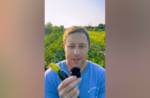 Veg grower ‘bowled over by support' after ‘drastic decline' in orders during hot spell