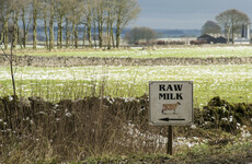 Kelly Earley: There are dog whistles behind conversations about ‘raw’ milk