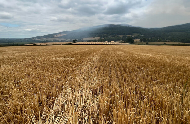 Slievenamon fire may be extinguished in two days, says Tipperary fire service