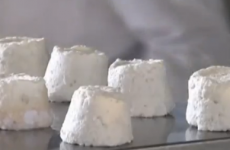 Novak Djokovic has bought ALL of the donkey cheese in the world for his restaurant chain