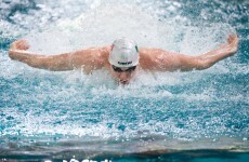 Swimming: Murphy to take on the world alone