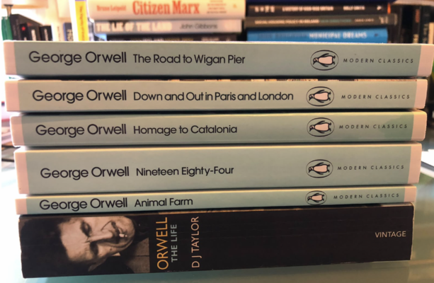 From George Orwell to sci-fi: Here's what Irish politicians are reading over the summer holidays
