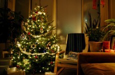 Poll: Have you put up your Christmas tree yet?