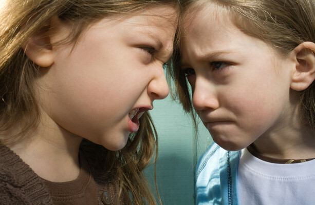 Parenting I always wanted a sister, until I had two daughters