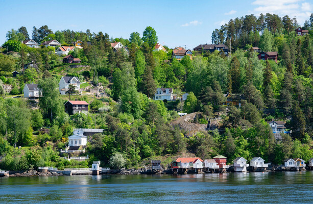 Small forests, big change: How tiny pocket forests can help cities breathe again