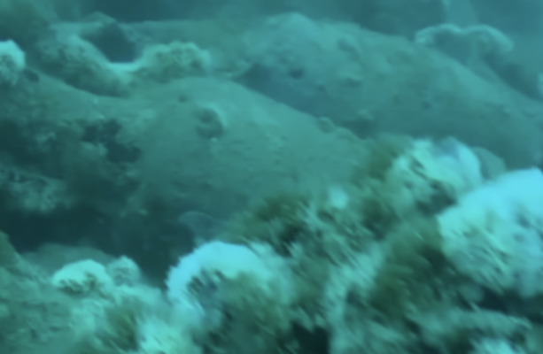 2,100-Year-Old Roman Shipwreck Discovered off Coast of Sicily