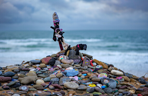 Harry Potter Fans Force £430M Cable Reroute to Save Dobby Grave