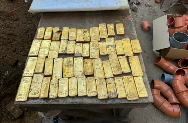 Uncovering a Treasure Worth €9 Million: Belgian Students Stumble Upon Gold Stash