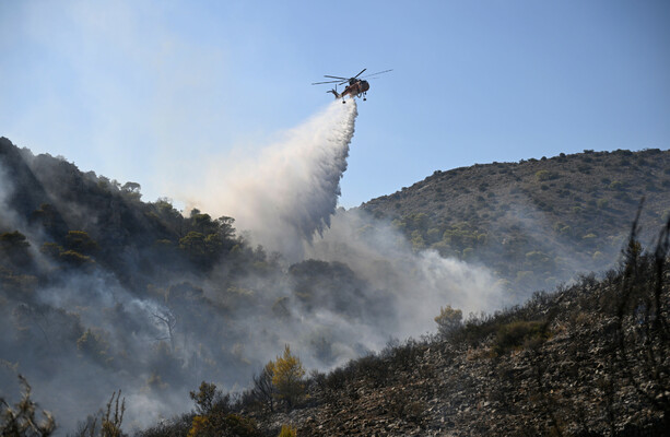 Deaths and Mass Evacuations as Wildfires Sweep Greek Island