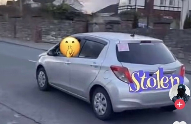 'Get me famous': TikTok accounts rack up thousands of views with stolen cars and garda pursuits