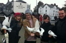 The Dredge: Harry and Taylor on holidays, and a genuine Bieber murder plot!