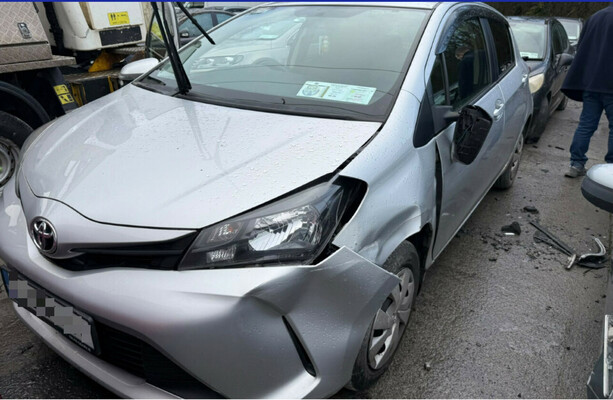 Family says gardaí knew their stolen car featured in TikTok posts by teen who died in M9 crash