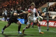 Heineken Cup: Write us off at your peril Foden warns Ulster