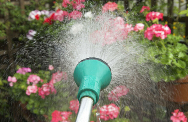 Uisce Éireann extends hosepipe ban until the end of September for 13 counties