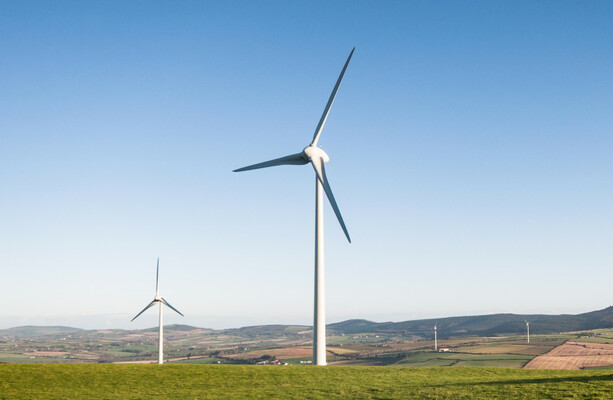 Half of Ireland's grid-scale electricity generated last year came from renewable sources