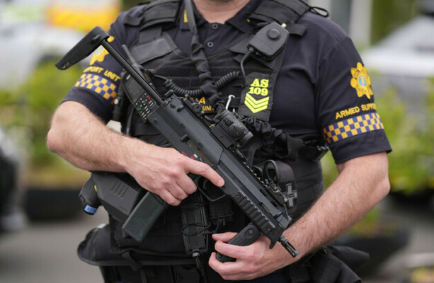 Woman (34) charged with gun and ammunition offences in Louth
