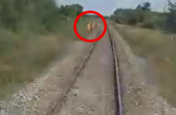 Irish rail workers avoided being hit by train by 'four to five seconds' in near-miss incident