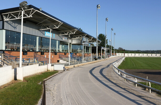 Questions over who is even showing up are among the many that dog Irish greyhound racing