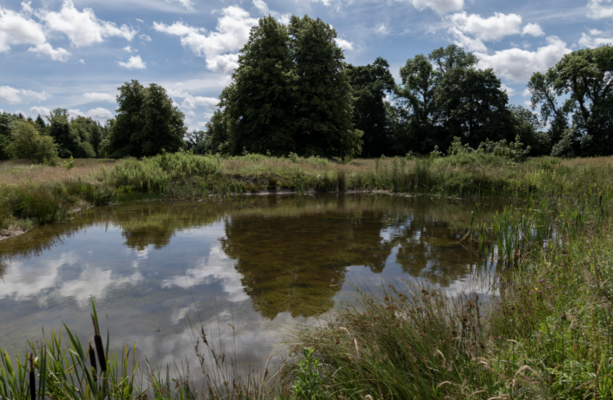 Ireland's nature heroes: Meet the farmers turning corners of their land into wildlife havens