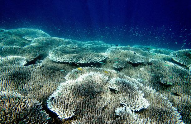 'Supersized' El Niño could land 'massive blow to communities'