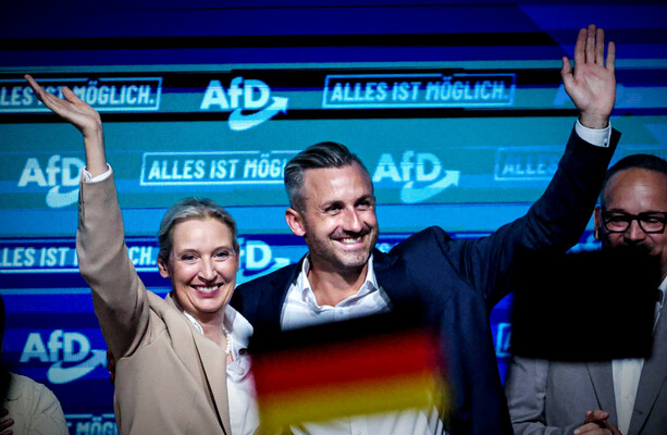 How did the AfD become so powerful in Germany?
