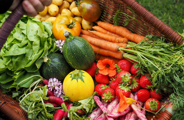 Ireland overly relies on fruit and vegetable imports at risk of crop failures