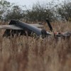 Report into Birr plane crash found ‘no technical defect’
