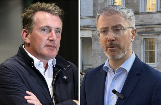 Aodhán Ó Ríordáin thinks Labour should merge with the Greens - but Roderic O'Gorman doesn't