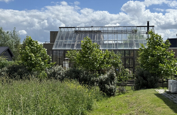 What if city living also meant you could grow your own food? one dutch community has it sussed