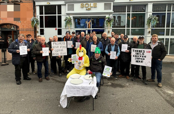Farmers Demand Bord Bia Chair Resign After Dublin Restaurant Serves Imported Chicken
