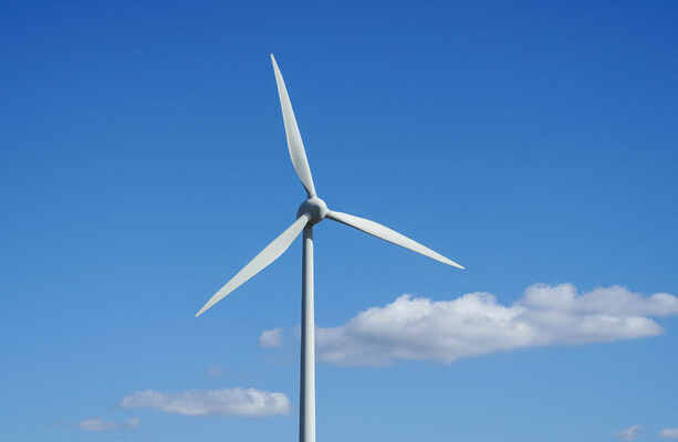 Judge compares wind farm objectors to 'dogged Japanese soldier still fighting World War 2'