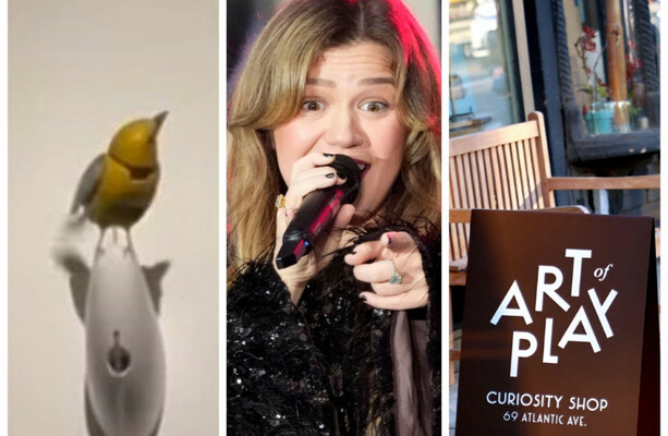 Since you've been wronged: Kelly Clarkson, a viral New York store and a very expensive bird