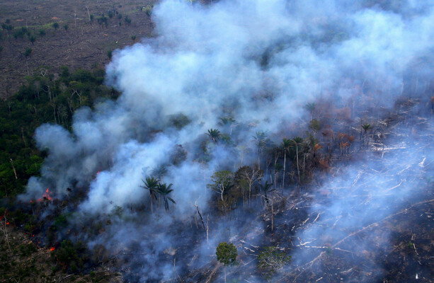 Brazil: Amazon deforestation hits lowest level in nearly 40 years