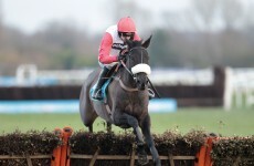 Big Buck's and Al Ferof set to be out for remainder of season