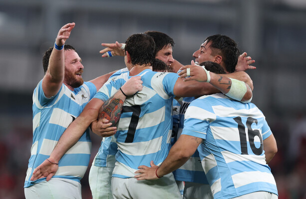 Contepomi's Pumas plotting another good night in Dublin