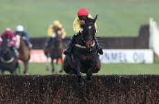 Sizing Europe may swerve King George