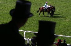 Why the long face? Take a look back at the year in horse racing...
