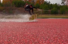 The YouTube Top 10: Because wakeskating in a cranberry bog looks amazing