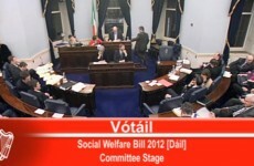 Social Welfare Bill passes committee stage in Seanad by three votes