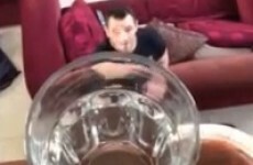 VIDEO: Cian Healy has some mad Berocca-throwing skills
