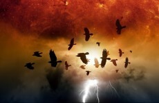 You made it: Earth successfully survives predicted Mayan apocalypse